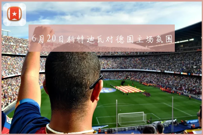 6月20日科特迪瓦对德国主场氛围