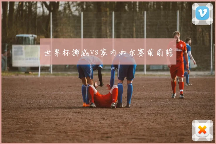 世界杯挪威vs塞内加尔赛前前瞻